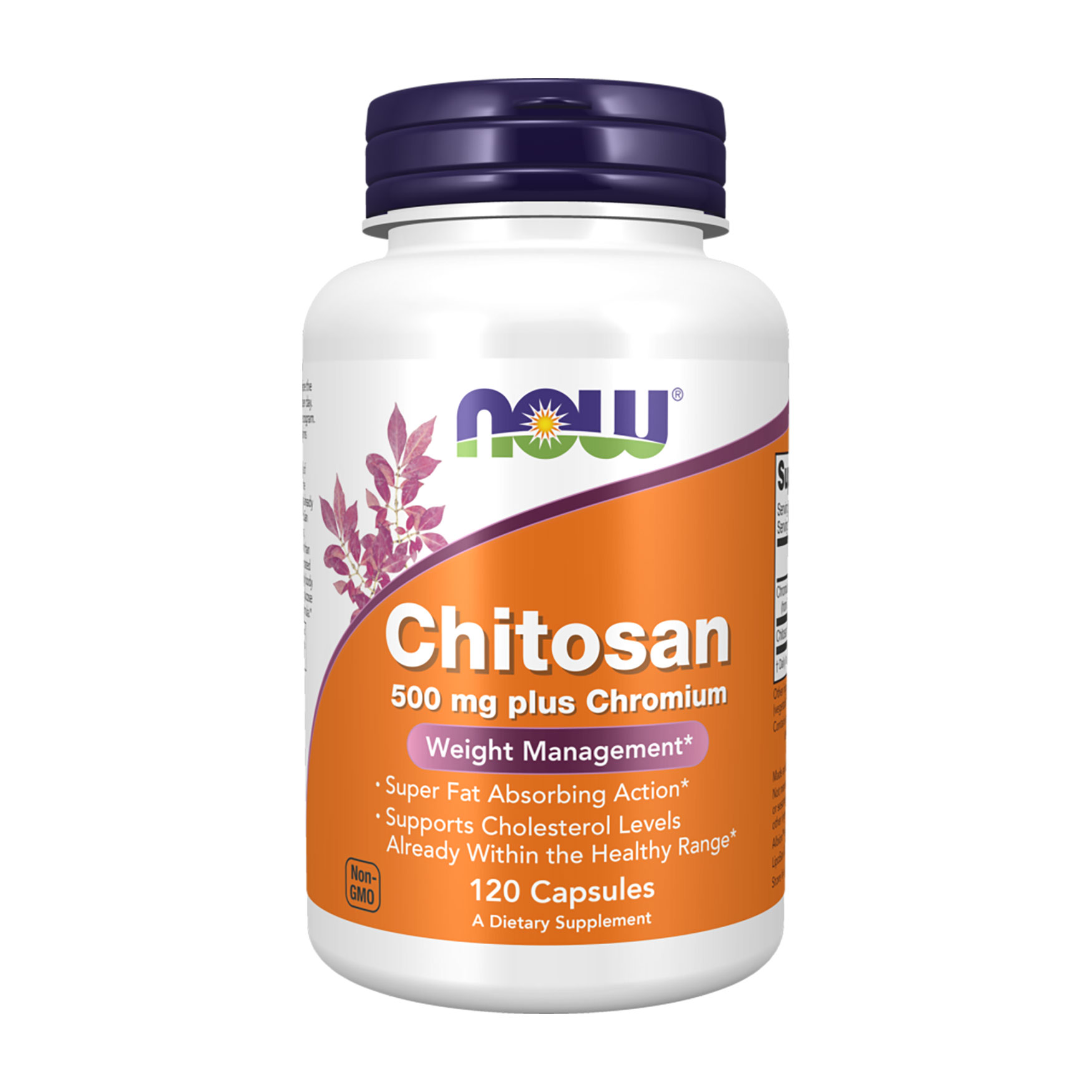 Хітозан 500 мг + хром NOW foods Chitosan 500 mg plus Chromium, 120 капсул